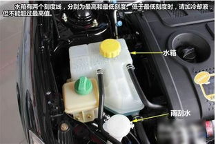 修理汽车水箱多少钱