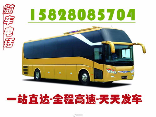 成都到石狮汽车电话多少