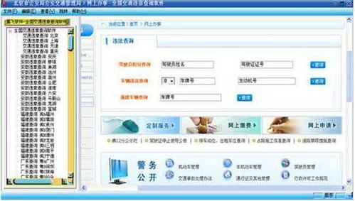 汽车查违章网站多少