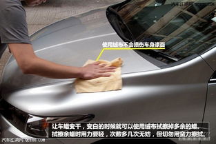 汽车打蜡抛光多少钱
