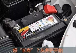 汽车怎样看有多少电瓶 汽车怎样看有多少电瓶