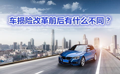 深圳市拥有多少汽车
