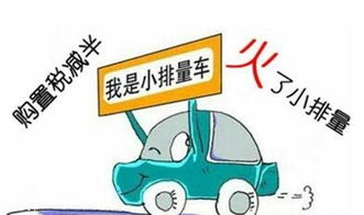小型汽车购置税多少