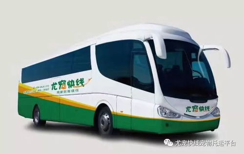 义乌到潢川汽车多少钱