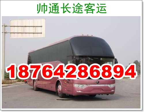涡阳到义乌汽车多少钱