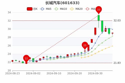 长城汽车股票下行多少