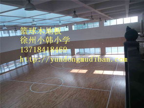 汽车安装篮球池多少钱