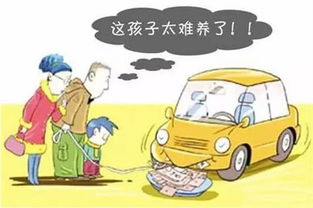 怎么看汽车保养多少公里