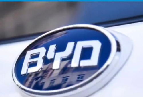 深圳比亚迪汽车工资多少
