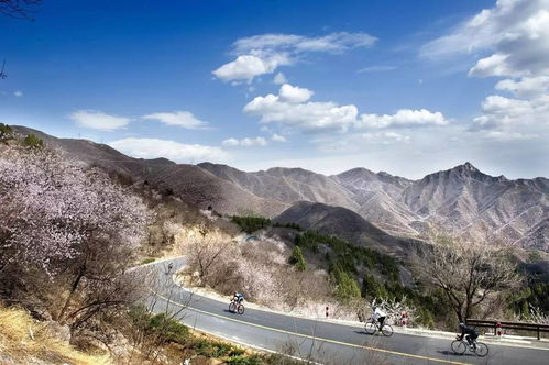 妙峰山汽车多少公里(妙峰山汽车行驶多少公里？一篇文章带你了解)