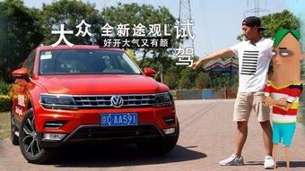 大众汽车tsr汽车多少(大众汽车与TSR，探索汽车技术的深度与广度)
