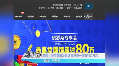 男子给网店刷好评获利780万被判刑(男子网店刷好评获利780万被判刑，网络诚信建设的警钟长鸣)