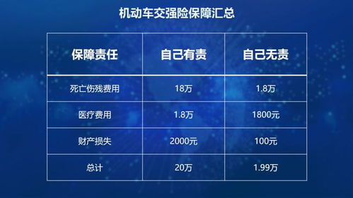 汽车保险全保百分之多少(汽车保险全保百分比，深度解析与选择策略)