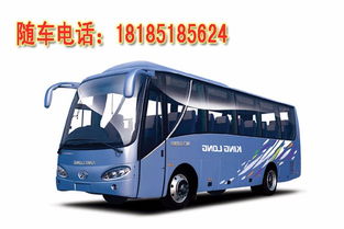 汽车站能停多少个大巴车(探究汽车站的容纳能力，汽车站能停多少个大巴车？