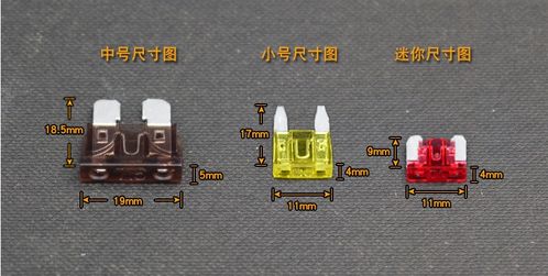 汽车保险丝全换多少钱(汽车保险丝更换费用解析)