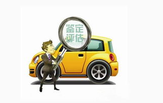 汽车安全防护多少钱一个(汽车安全防护，价格与价值之间的权衡)