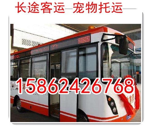 周巷到唐河汽车票多少钱(周巷到唐河汽车票价详解，费用、路线与行程建议)