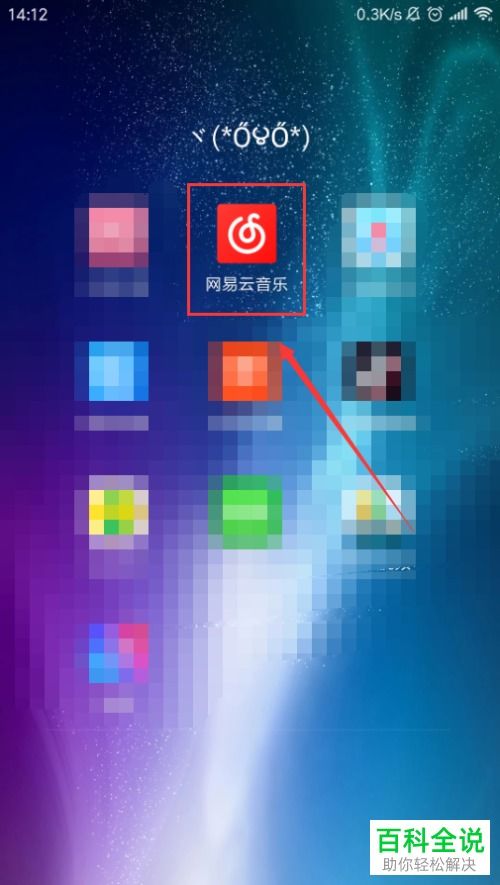 电脑怎么样安装华为音乐(电脑如何轻松安装华为音乐，详细步骤与操作指南)