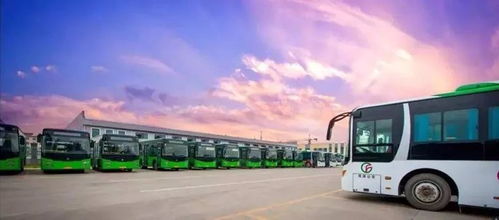 巨野到新泰汽车票多少钱(巨野到新泰汽车票价详解，费用、路线与乘车建议)