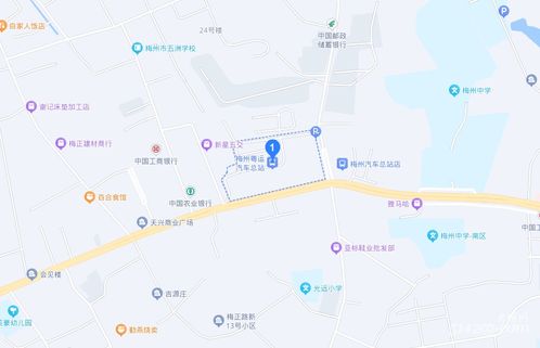 广西浦北有多少个汽车站(广西浦北汽车站数量概览)