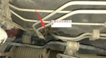 汽车空调上水管多少钱(汽车空调上水管价格解析)
