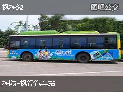 岳阳多少路车到汽车站啊(岳阳多少路车到达汽车站，公共交通指南)
