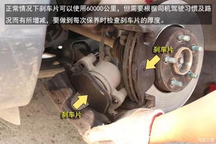 汽车换执行器多少钱啊(汽车执行器更换费用解析，价格究竟多少？