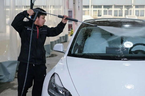 共享汽车要交费吗多少钱(共享汽车的使用费用详解，如何交费及价格考量)