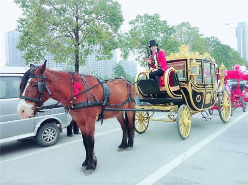 汽车和马车斗了多少年(汽车与马车，一场跨越数百年的较量)