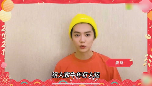 鹿晗手机屏保疑似是和关晓彤的合照(鹿晗手机屏保疑似曝光，与关晓彤的合照引热议)