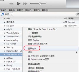 华为电脑怎么打开itunes(华为电脑如何打开iTunes—一个详细的指南)