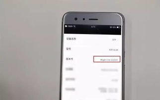 华为手机怎么下live