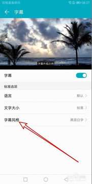 华为手机字幕怎么播放