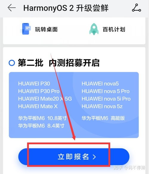 华为手机怎么申请鸿蒙