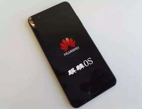 华为怎么授权手机使用
