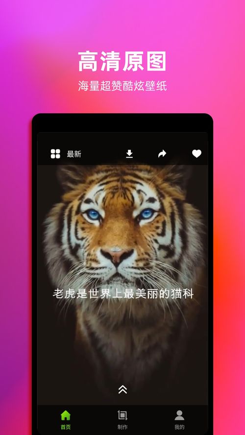 华为手机怎么动态壁纸