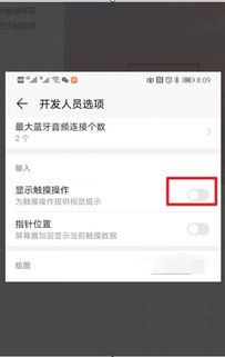 华为手机怎么调出白点