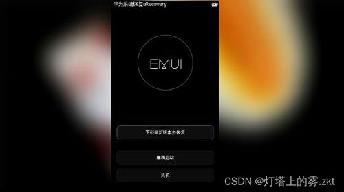 华为手机怎么进re