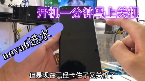 华为手机除尘怎么开启