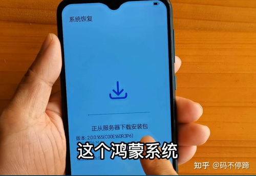 华为手机怎么升级新版