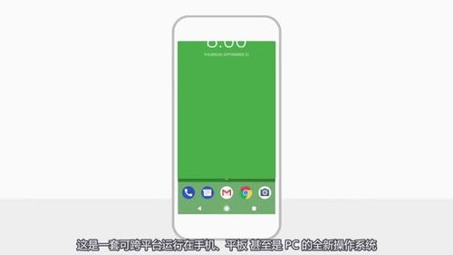 华为手机google怎么打开