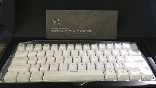 跳河游戏攻略 VS IQUNIX游戏攻略