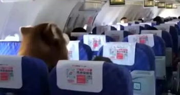 南航乘客遭废弃针头扎出血索赔遭拒 南航乘客遭废弃针头扎出血索赔遭拒