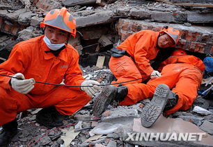 男子为办退休要挖512地震废墟