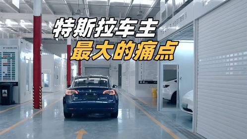 特斯拉汽车多少钱 最贵