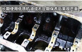 汽车换机油加多少合适