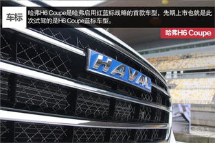 汽车彩屏最大多少寸 汽车彩屏最大多少寸