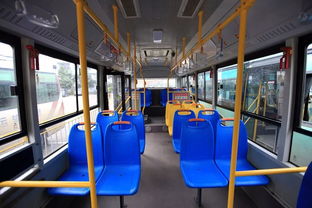 公共汽车有多少台车