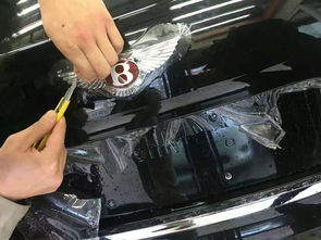 汽车漆面清洁多少钱