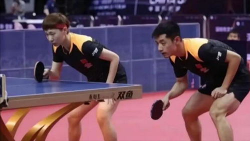 刘国梁谈体育去饭圈化